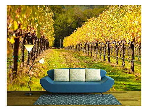 wall26 - Beautiful Vineyard in Fall - Removable Wall Mural | Self-Adhesive Large Wallpaper - 100x144 inches
