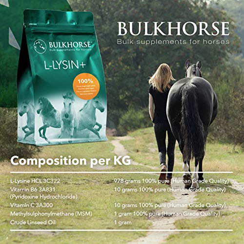 BulkHorse L-Lysine+ | PREMIUM KWALITEIT: voor het immuunsysteem en bij vermoeid van uw paard | 3000 g - Afbeelding 3