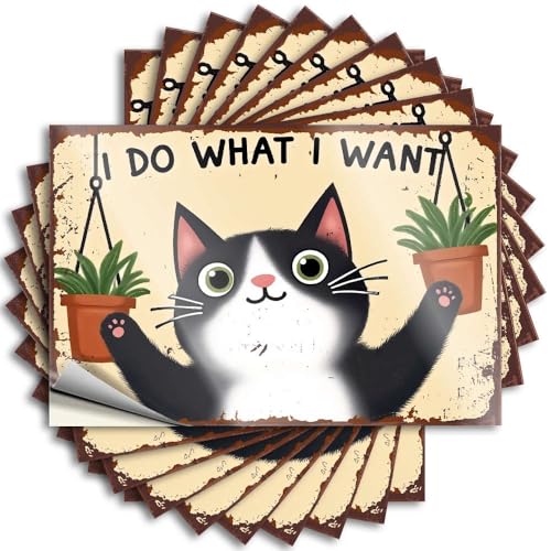 Accessori per auto I Do What I Want Cat with Plants. Adesivi 10 pezzi adesivi per auto piccolo cartello (12 x 18 cm)