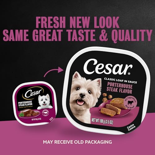 Image of Cesar Classic Loaf Wet Dog Food, Porterhouse Steak, 3.5 oz, 24 Count | Made in USA, Real beef #1 ingredient, slow-cooked tender texture, easy peel trays, no fillers /added sugar /artificial flavor