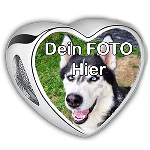 Mops Kleidung Die 15 besten Produkte im Vergleich HundeINFOPortal