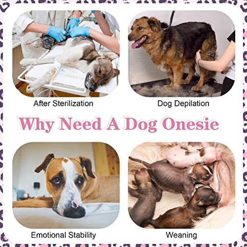 Kuoser Dog Surgery Recovery Suit, Recovery Suit For Female Male Dogs, Dog Onesie After Surgey Spay Neuter, Anti-Licking Pet Surgical Recovery Snugly Suit, Bodysuit For Abdominal Wounds Skin Disease #TOP3