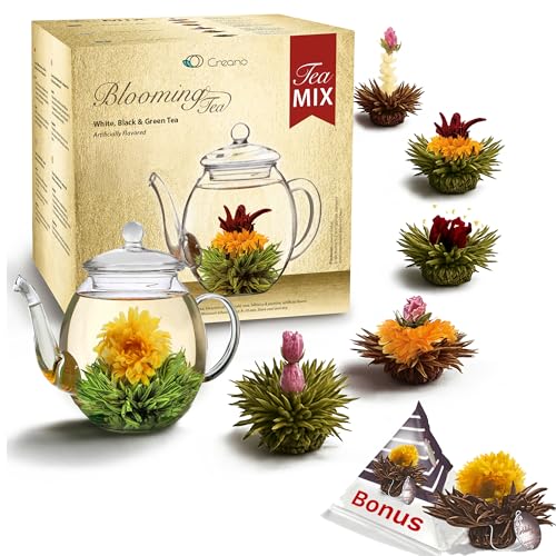 Creano Coffret cadeau fleur de thé - avec pot en verre de 500 ml & 6x thé blanc, noir, vert + boule bonus de thé noir en portion de tasse - 8 pièces