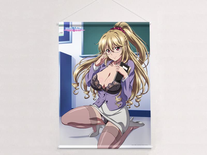 Amazon.co.jp: カーテン魂 ストライク・ザ・ブラッド B2