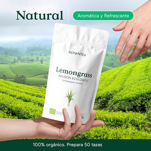 REPLANTEA Infusión de Hierba Limón (Lemongrass) Ecológica 200g | Té Cítrico Refrescante y Digestivo | Ingrediente Detox Natural | Cymbopogon Citratus a Granel - imagen 6