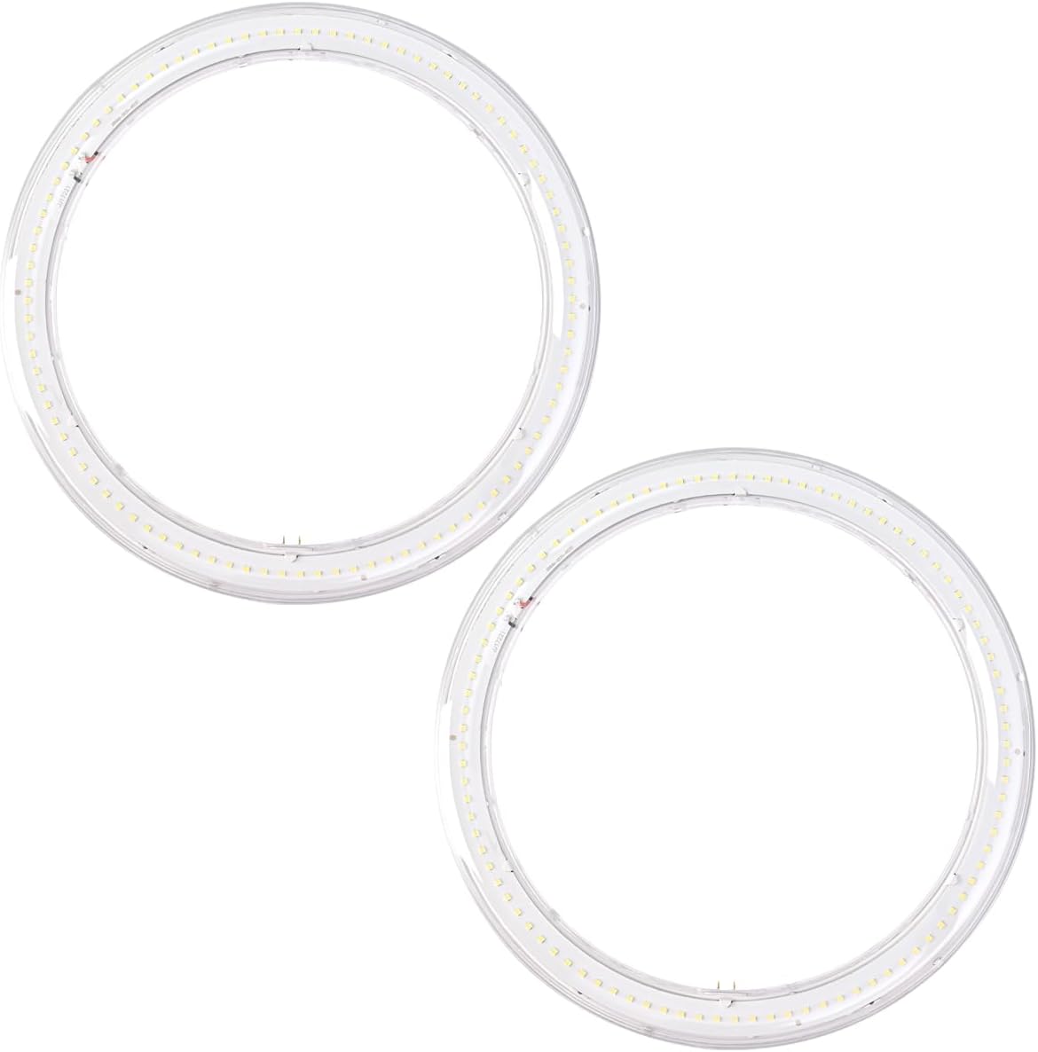 2 Pack 12-Inch T9 LED Round Circline Lamp, Circular Light Ceiling Light 24w, Clear Cover 2640 Lumens,6000K Daylight,G10Q 4-Pin Base Super Bright to Replace FC12T9 Fluorescent Light