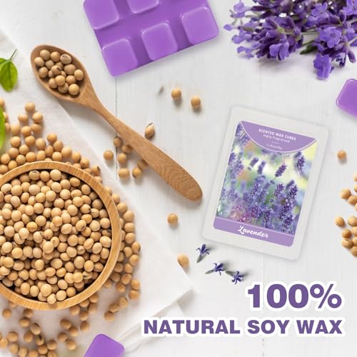 Image of SCENTORINI Wax Melts Wax Cubes, Lavender Wax Melts for Sleep, 4 * 1.25oz | Summer Scent, Scentsy Wax Melts for Warmer, with Lavender Essential Oil, Scented Soy Wax Strong Scent