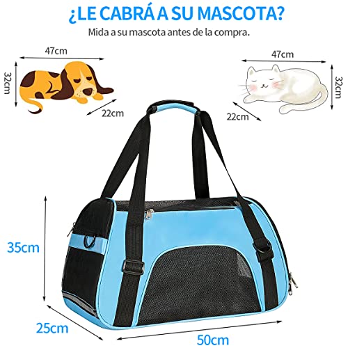 Mejores review On-line Transportadoras para perros soriana - solo los mejores. 30 Imagen adicional