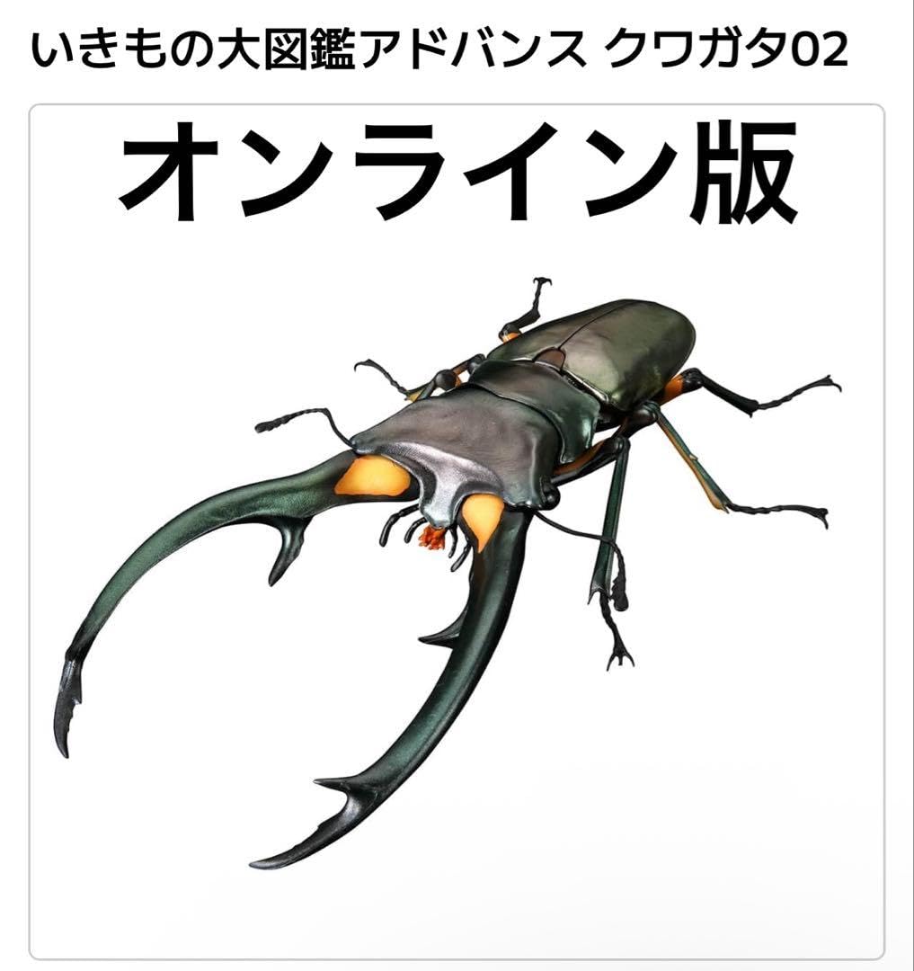Amazon.co.jp: いきもの大図鑑アドバンス クワガタ02 エラフスホソアカ