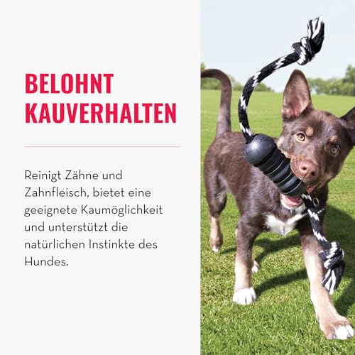KONG Extreme Dental Hundespielzeug - Kauspielzeug aus Naturkautschuk für die Zahnpflege - Reinigt Zähne und Zahnfleisch - Für große Hunde