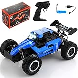 RAINMAX 1:16 High Speed RC Car for Boys, 12.5 MPH All-Terrain Off-Road Remote Control Truck, 2.4GHz Alloy Drift Vehicle with Metal Differentials & Shocks, Blue DMRC017-B