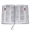 Holy Bible: Divine Mercy Catholic Bible Leather Bound January 1, 2021