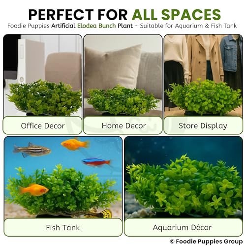 Image of Foodie Puppies Aquarium Plastic Plants with Resin Base - (Elodea Bunch Plant, Set of 2, 5 x 4 x 4 cm) for Fish Tank, Freshwater & Saltwater Natural Decor