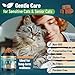 Flea and Tick Prevention for Cats Chewable, 200 Treats Natural Cat Flea Treatment, Skin & Digestive Support Oral Supplement Chew Flea and Tick Treatment for Cat Kitten All Breeds & Ages, Salmon Flavor