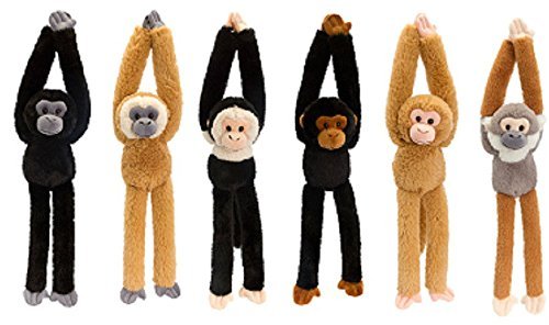 Preisvergleich Produktbild Keel SW0084 Weiches Spielzeug