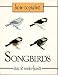 How to Paint Songbirds