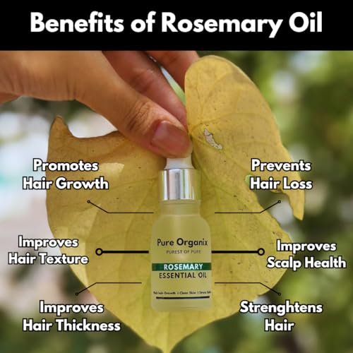 Pure Organix Rosemary Essential Oil Pack of 2 · 15 ml (30 ml total) - Image 4