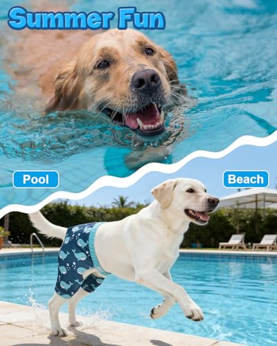 Image of CuteBone Dog Swim Trunks Swimsuit Durable & Comfortable - Quick-Dry, Adjustable Waistband Shorts, UV Protection Bikini- Perfect for Beach, Pool & Outdoor Fun, Dinos DST15L