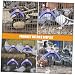 BEBEMOKO 10pcs Pigeon Standing Rack Parrot Toy Bird Playground Pigeon Toy Perch Pigeon Roosting Holder Playing Toy for Parrot Horse Bird Toy Bird Cage Toy Parrot Stand Parrot Pet Toy Blue