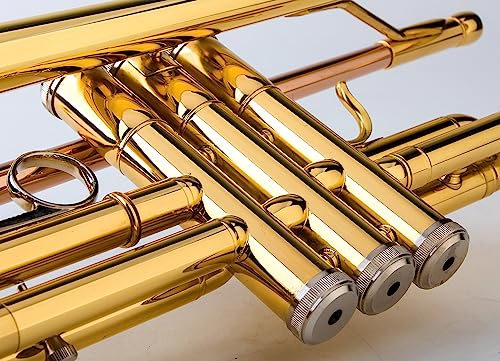 glory bb trumpet - trumpets for beginner or advanced student with case pair of gloves-gold