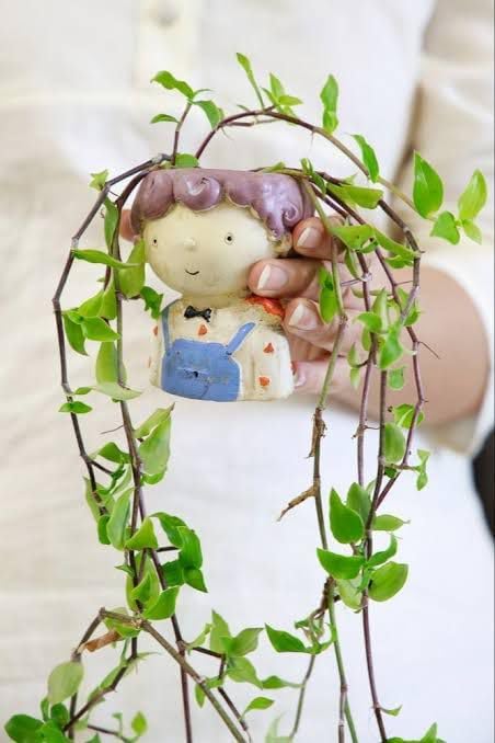 Occident Turtle Vine Live Plant (Pack of 1) (Size 6-12 Inch Plant) Callisia repens Indoor Outdoor Hanging Shrub Perfect for Garden Balcony Trailling or Decor Low Care Fast Growing Hanging Plant (1)-image-20