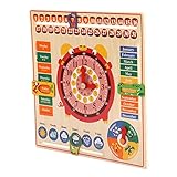 Orologio per Bambini Giocattolo Orologio Multifunzione in Legno, Migliora Le capacità di Riconoscimento, Adatto a Bambini dai 3 Anni in su