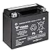 Produktbild Batterie YUASA YTX20HL-BS (WC) AGM geschlossen, 12V|18Ah|CCA:310A (175x87x155mm) für Harley Davidson FXDFSE 1800 Screamin' Eagle CVO Fat Bob Baujahr 2009