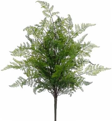 Silk Plants Direct Lace Fern Bush (Pack of 8)