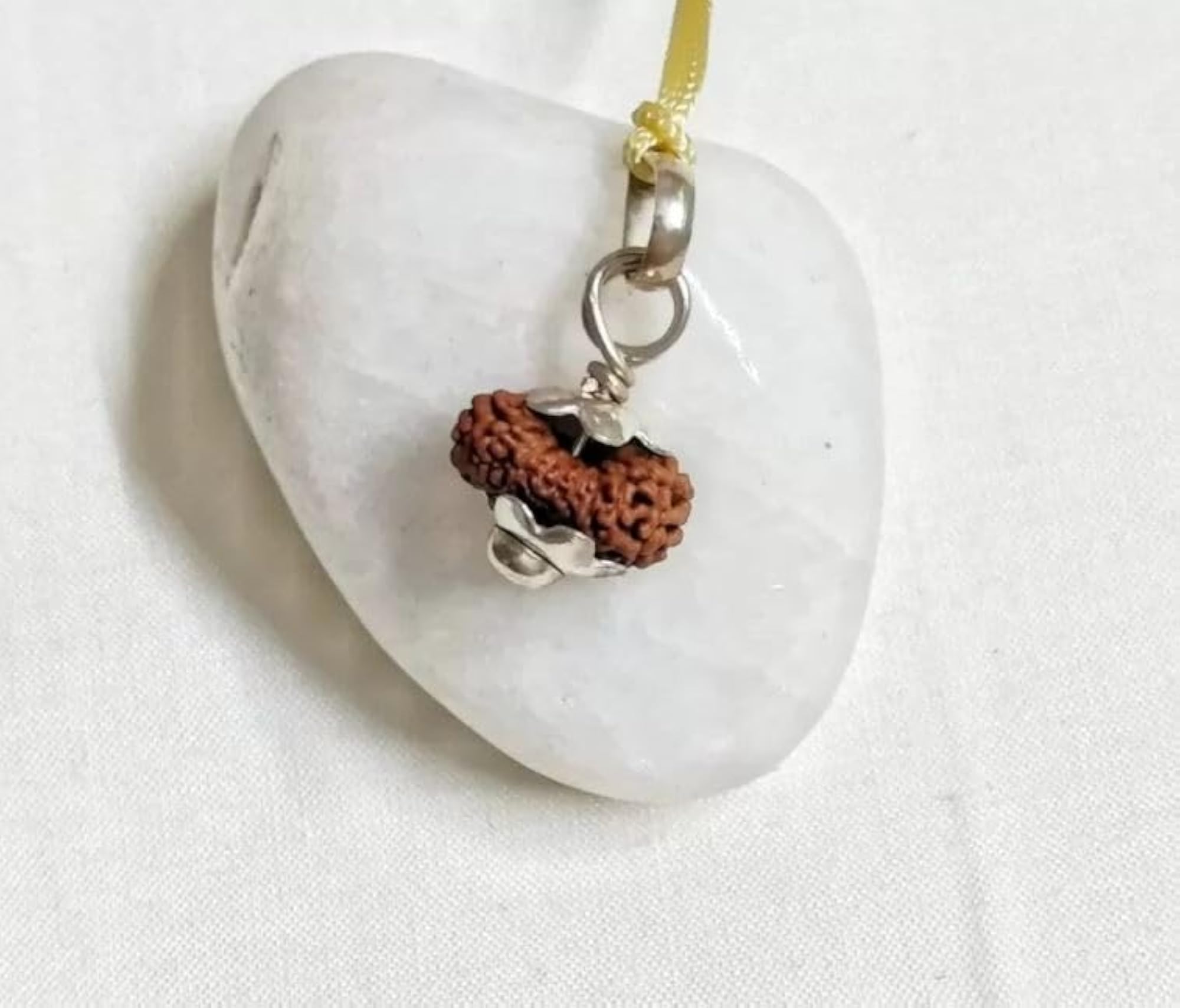 14 Mukhi Rudraksha, Original Certified