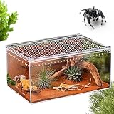 Struttura 'habitat verticale: lo Spider Terrarium include una struttura 'habitat verticale progettata per migliorare l'adattamento ai rettili e la compatibilità con gli artropodi, offrendo zone di attività di arrampicata