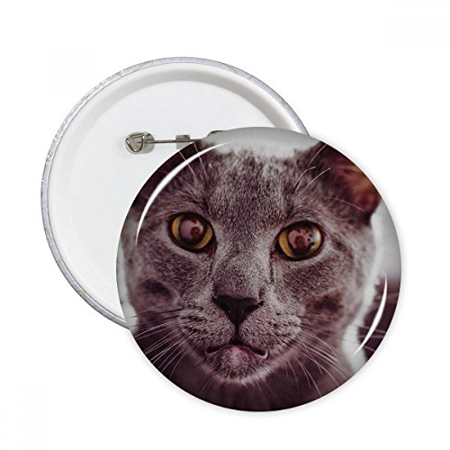 Badge chat grand animal yeux gris bouton epinglette ronde de decoration pour vetements multicolore S
