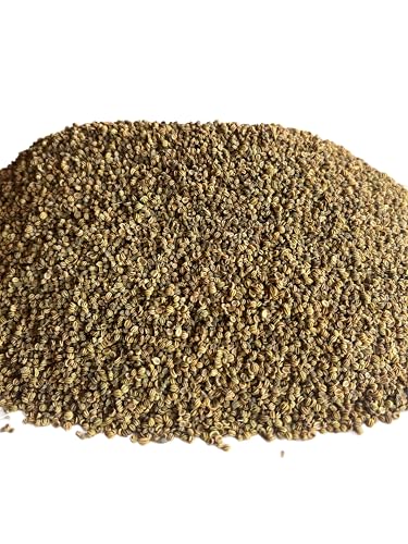 Image of Ajmod (Apium Graveolens) Seeds | Celery Seeds | Ajmoda (400)