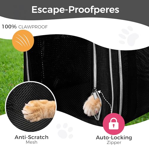 Image of BAGLHER Pet Travel Carrier, Cat Carriers Dog Carrier for Small Medium Cats Dogs Puppies, Airline Approved Small Dog Carrier Soft Sided, Collapsible Puppy Carrier. Black