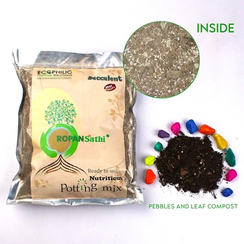 Image of Ropansathi Succulent Plant Potting Mix- 500 gram
