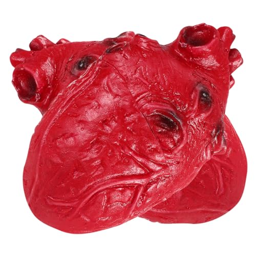 Cœur Faux Sanglant Halloween Horreur Pack de 2 Pièces Ultra Réalistes Rouges Festives