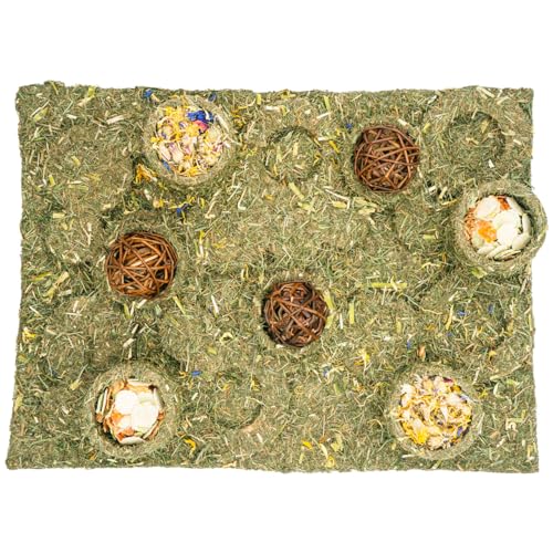 JR Farm 'Back to Instinct' XXL Fun-Park 430 g