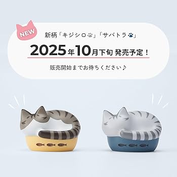 Amazon.co.jp: ラディウス radius HP-C28BT 完全ワイヤレス