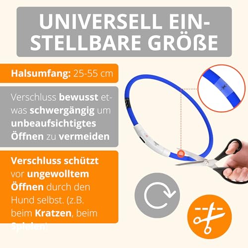 AMATHINGS Collare LED Visio Mega Set Edition 2017