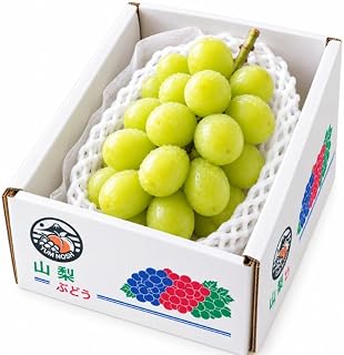 【YUM NOSH】 山梨県産 「雄宝」 1房 ぶどう 大粒 希少品種 シャインマスカット×天山 皮ごと食べられる 種なし フルーツ 果物 世界農業遺産地域