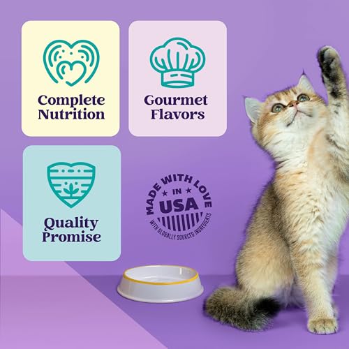 Image of A Strong Heart Wet Cat Food Variety Pack, 4 Flavor Chicken & Seafood Pates & Shreds in Gravy Recipes, Made with Real Chicken & Fish, Made in The USA, 5.5oz Can (40 Count)