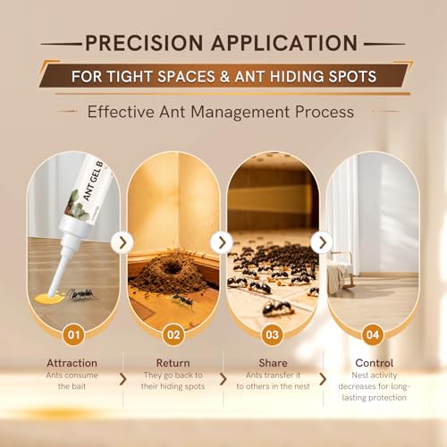 Image of Ant Gel Bait, 3 Tubes x 10g, Ready-to-Use Ant Killer Gel for Indoor and Outdoor Use, Ant Control for Home, Cracks & Crevices, Control of Most Major Ant Species