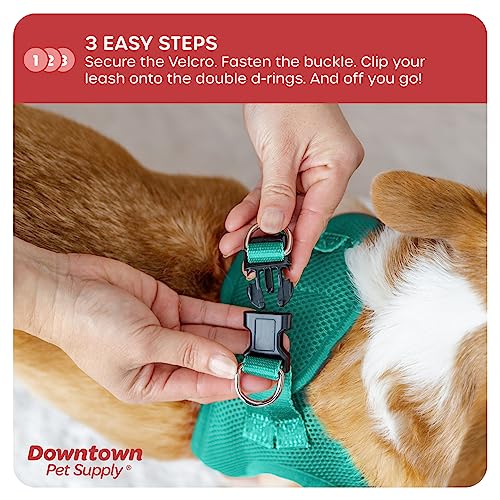 Downtown Pet Supply Step In Dog Harness For Small Dogs No Pull, Large, Bermuda Blue - Adjustable Harness With Padded Mesh Fabric And Reflective Trim - Buckle Strap Harness For Dogs #TOP4