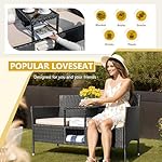 Devoko Outdoor Patio Loveseat Modern Rattan 2-Seat Patio Conversation Set with Cushions & Built-in Coffee Table Porch Furniture for Garden Lawn Backyard (Beige) - Image 3