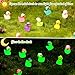 GGSTDDUP 80 Pack Luminous Mini Resin Ducks, Mini Ducks Tiny Duck Miniature Duck Figures Wearing Hat, Glow in The Dark DIY Crafts Cake Decor for Micro Landscape Dollhouse Garden (8 Colors)
