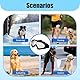 Hundebrille, Hunde Transparent Schutzbrille Für Haustiere UV Schutz Windschutz Staubschutz Ideal Für Hunde Augenpflege Outdoor Aktivitäten Besonders Bequem Und Sicher
