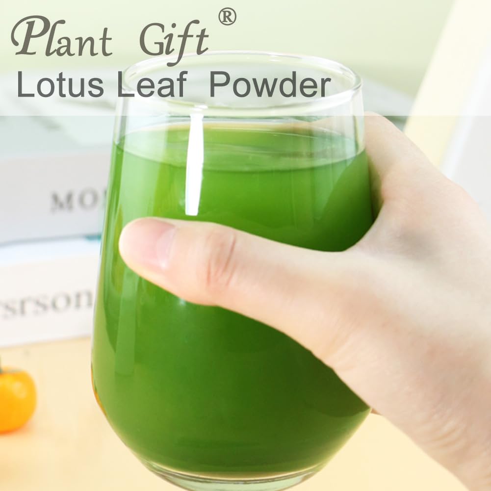 Plant Gift 100% Pure Lotus Leaf Flour 荷叶粉 Polvo natural de hoja de loto, excelente sabor para bebidas, batidos, tostadas, galletas, pasteles y bebidas, 100g / 3.25oz