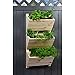 dobar® Green Label 58383FSCe Wandbed met 3 plantenbakken, bloementrap van hout, bloemenladder voor wandmontage, plantentrap voor tuin/terras/balkon, 38 x 17,5 x 79 cm, naturel dobar® Green Label 58383FSCe Wandbed met 3 plantenbakken, bloementrap van hout, bloemenladder voor wandmontage, plantentrap voor tuin/terras/balkon, 38 x 17,5 x 79 cm, naturel