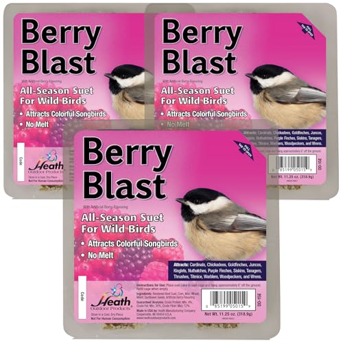 Heath Outdoor Products Berry Blast Suet Cakes Sample Pack, Contains 3 Suet Cakes, Try It, Your Birds Will Love it, for Woodpeckers, Cardinals, Siskins, Sparrows, Finchs & Many More Wild Bird Species
