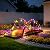 Ultym 5 FT Arched Wooden Garden Bridge with 11-Mode LED Lights