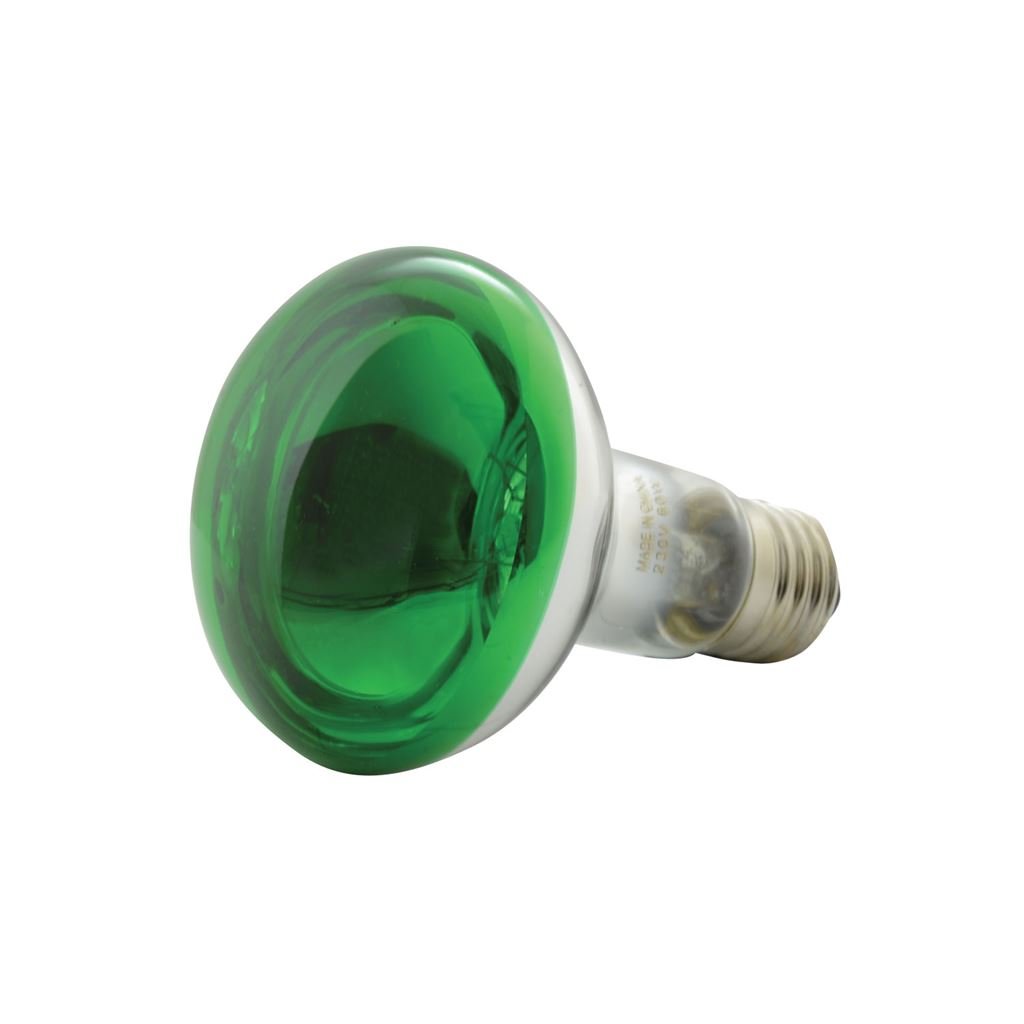 qtx R80 Coloured Reflector Lamps | GREEN